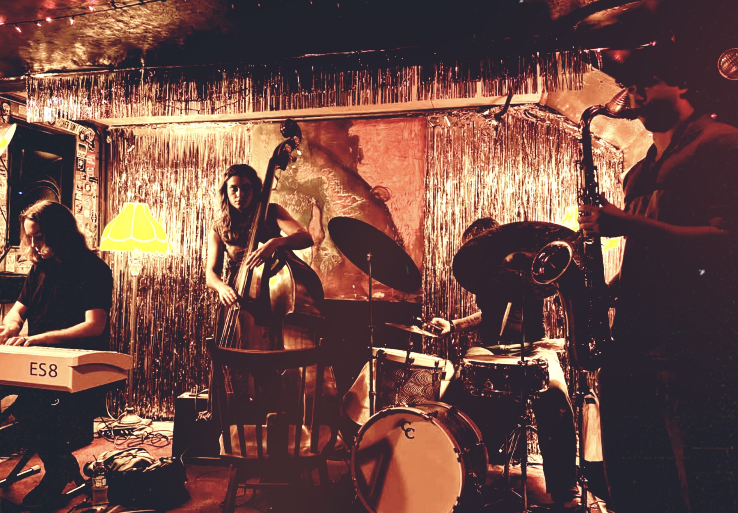 Clare Hawkins Trio // Megafauna // Bradley Mckellip ~ 6pm Early Show